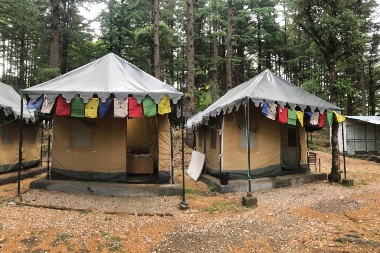 Himtrek Stays,Mcleodganj McLeod Ganj Extérieur photo