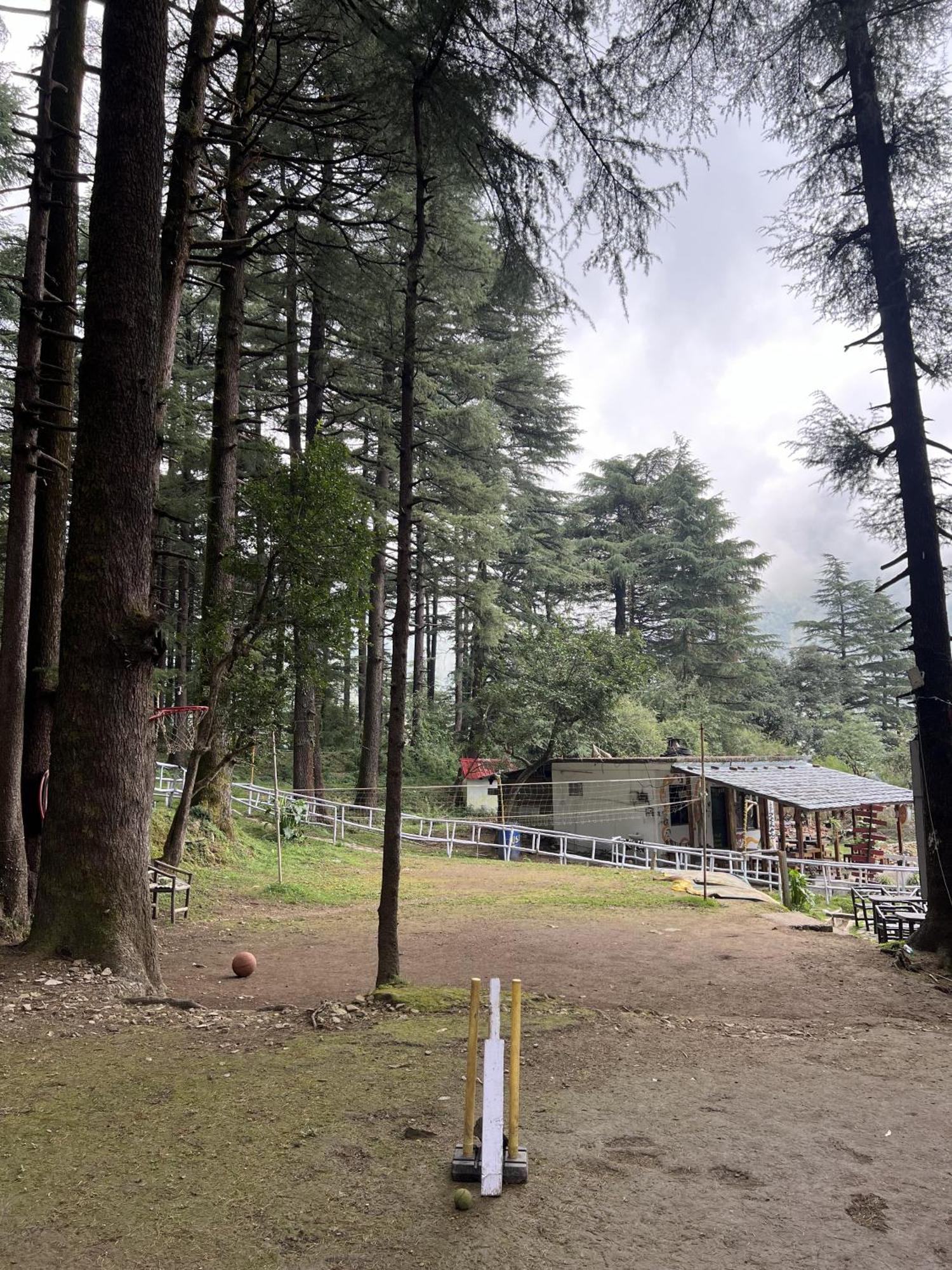 Himtrek Stays,Mcleodganj McLeod Ganj Extérieur photo