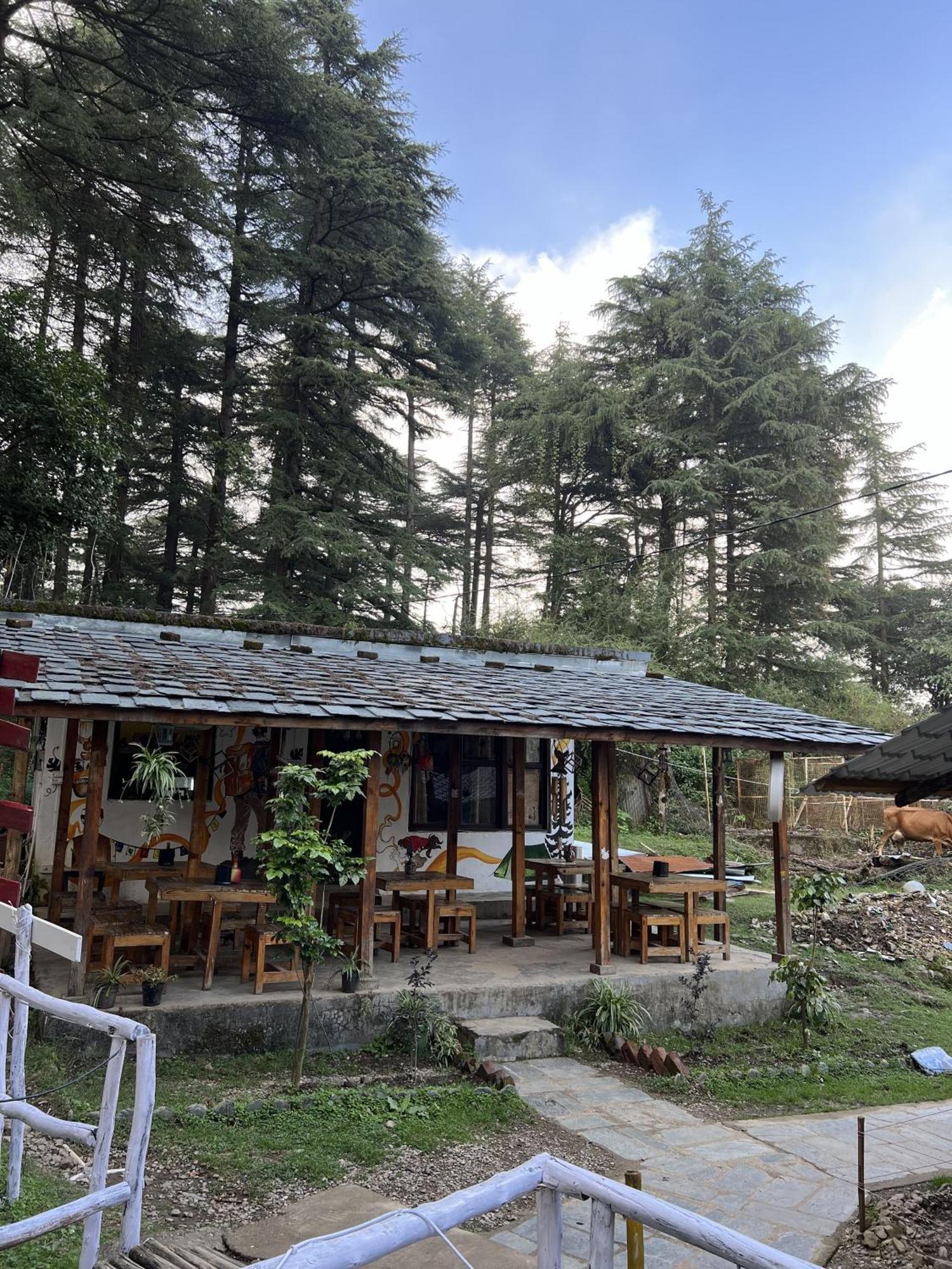 Himtrek Stays,Mcleodganj McLeod Ganj Extérieur photo