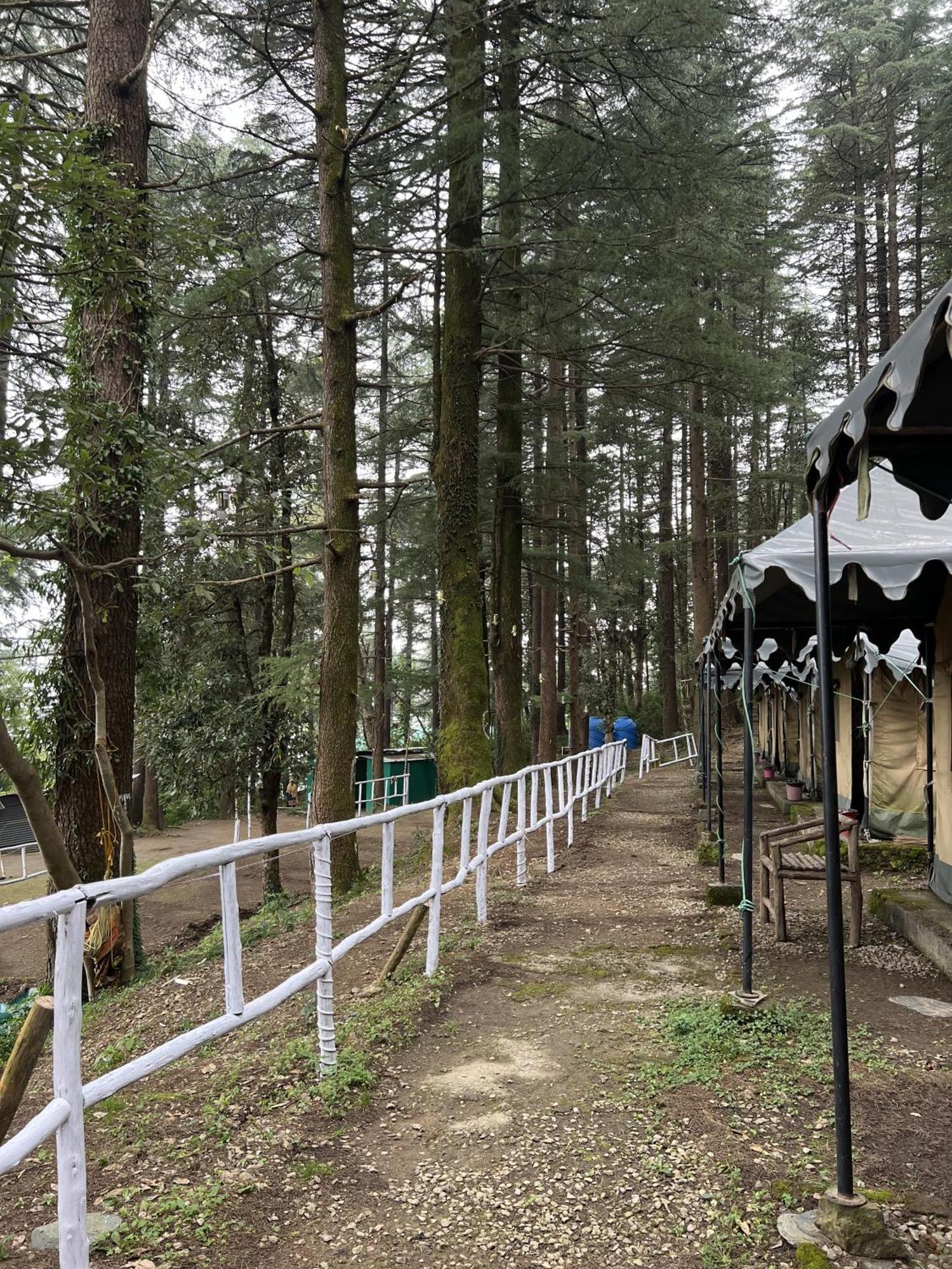 Himtrek Stays,Mcleodganj McLeod Ganj Extérieur photo
