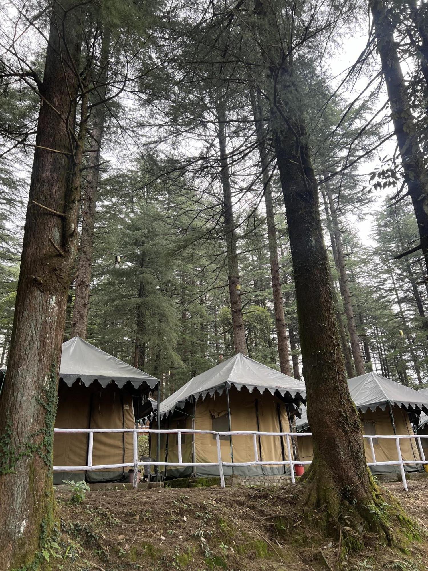 Himtrek Stays,Mcleodganj McLeod Ganj Extérieur photo