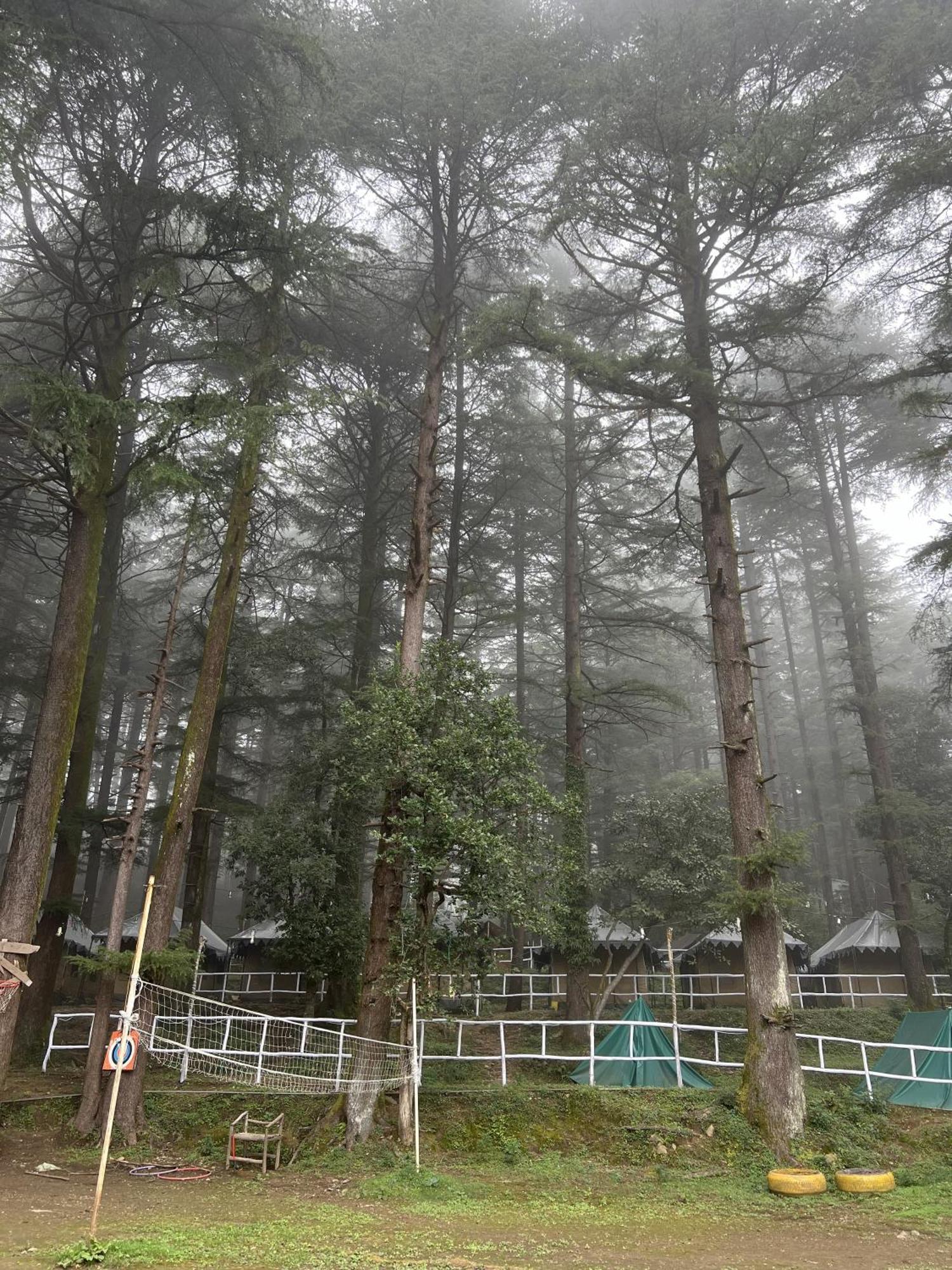 Himtrek Stays,Mcleodganj McLeod Ganj Extérieur photo