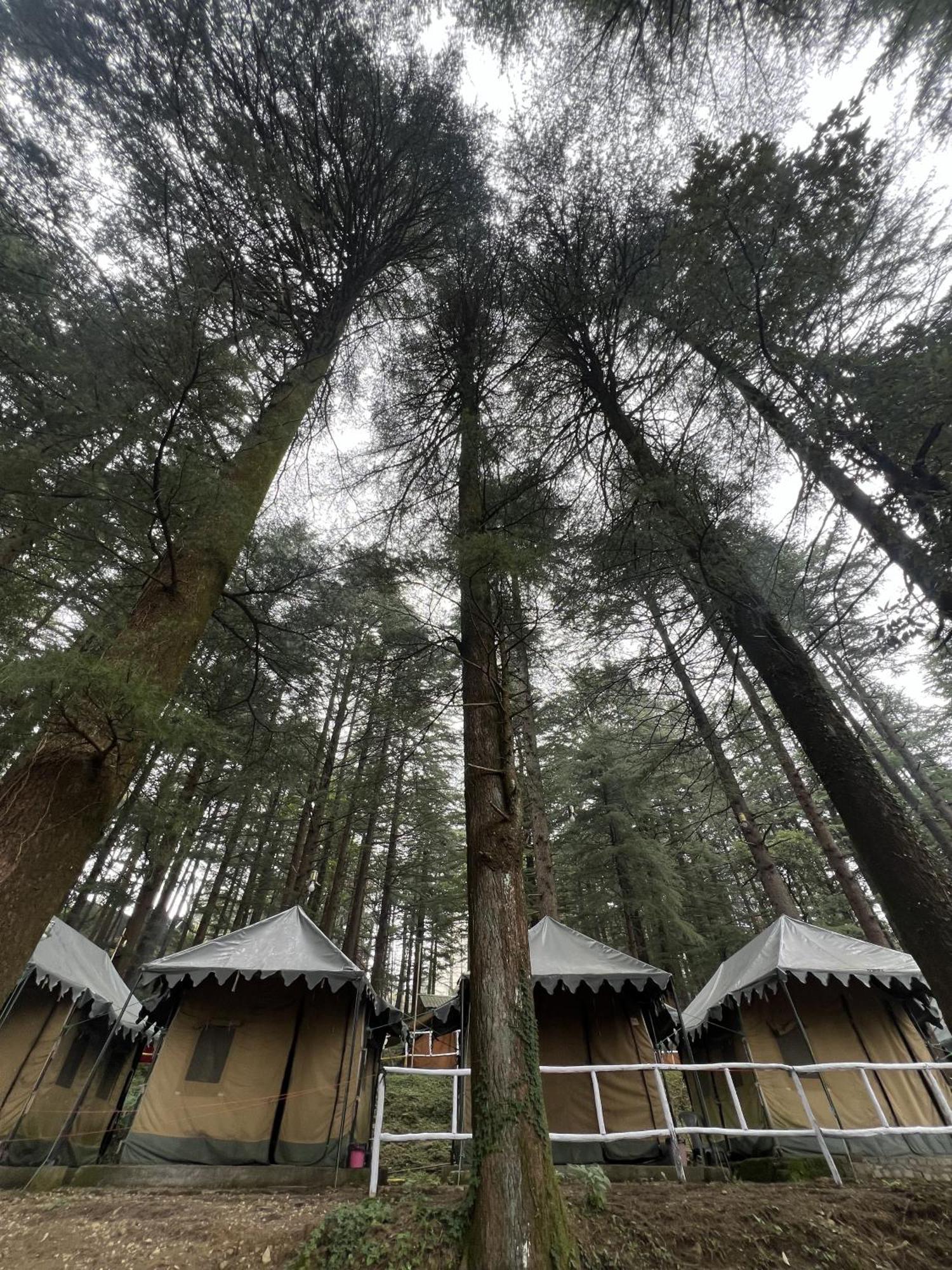 Himtrek Stays,Mcleodganj McLeod Ganj Extérieur photo