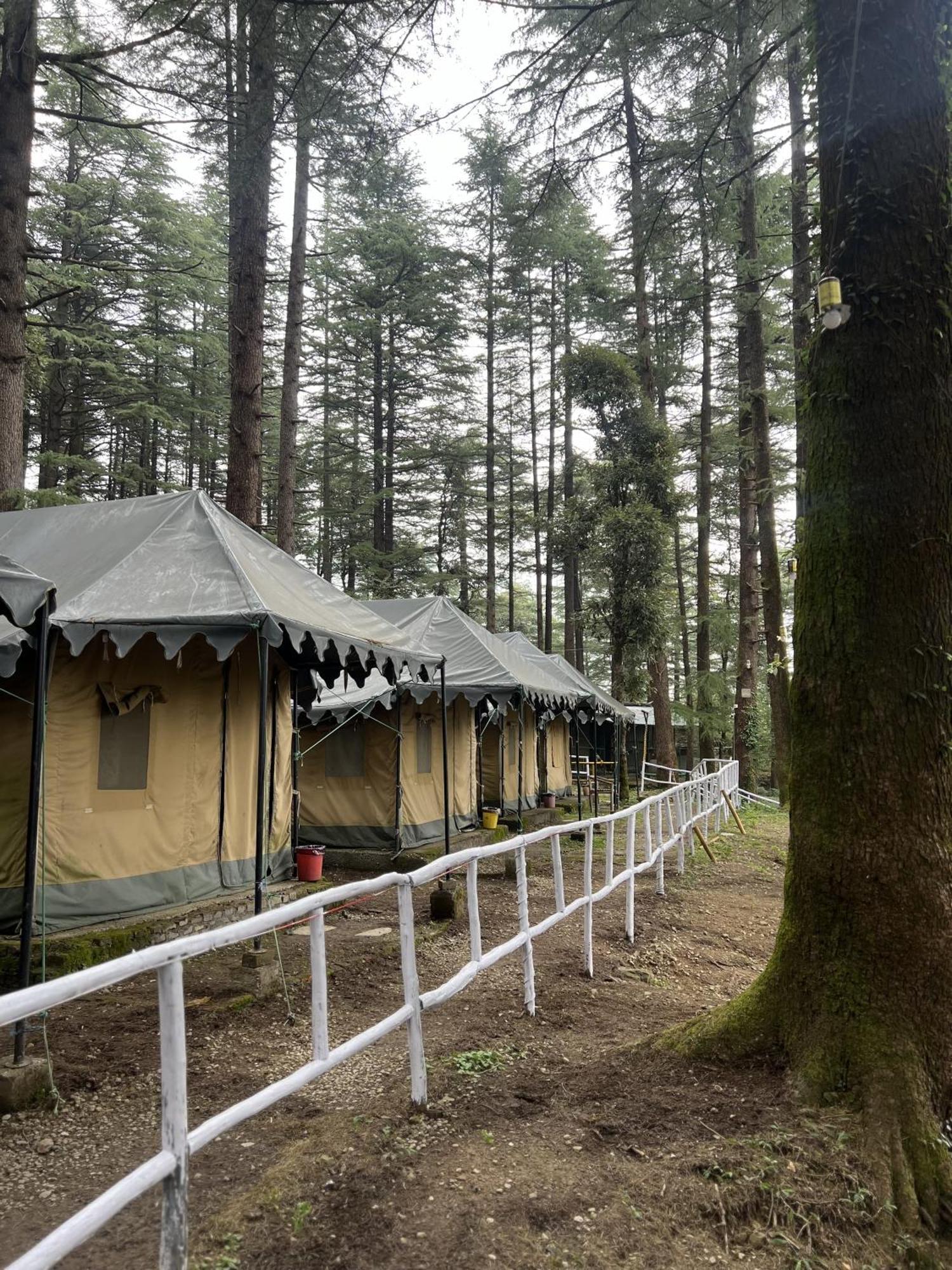 Himtrek Stays,Mcleodganj McLeod Ganj Extérieur photo
